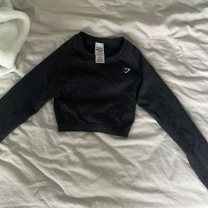 brand new gym shark!